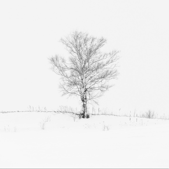 Meet your Posher, Sandy - Picture 3 of 6